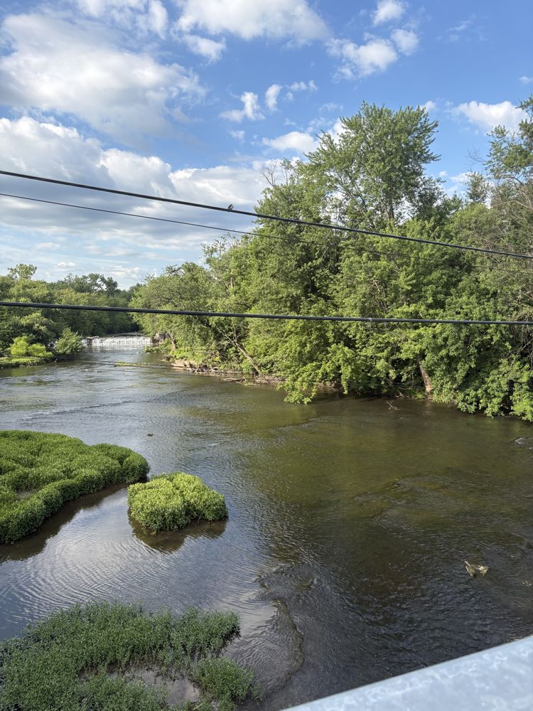 The river, wide view